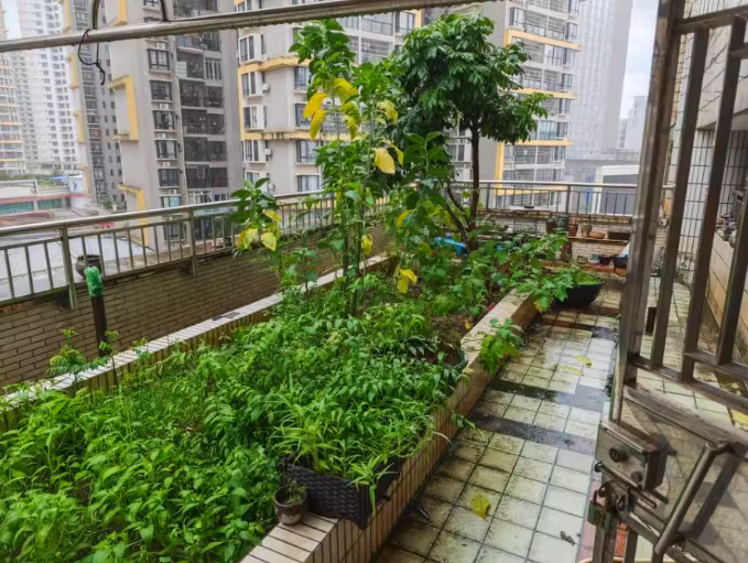 海口市玉沙路19号城中城小区A座 703,704房产
